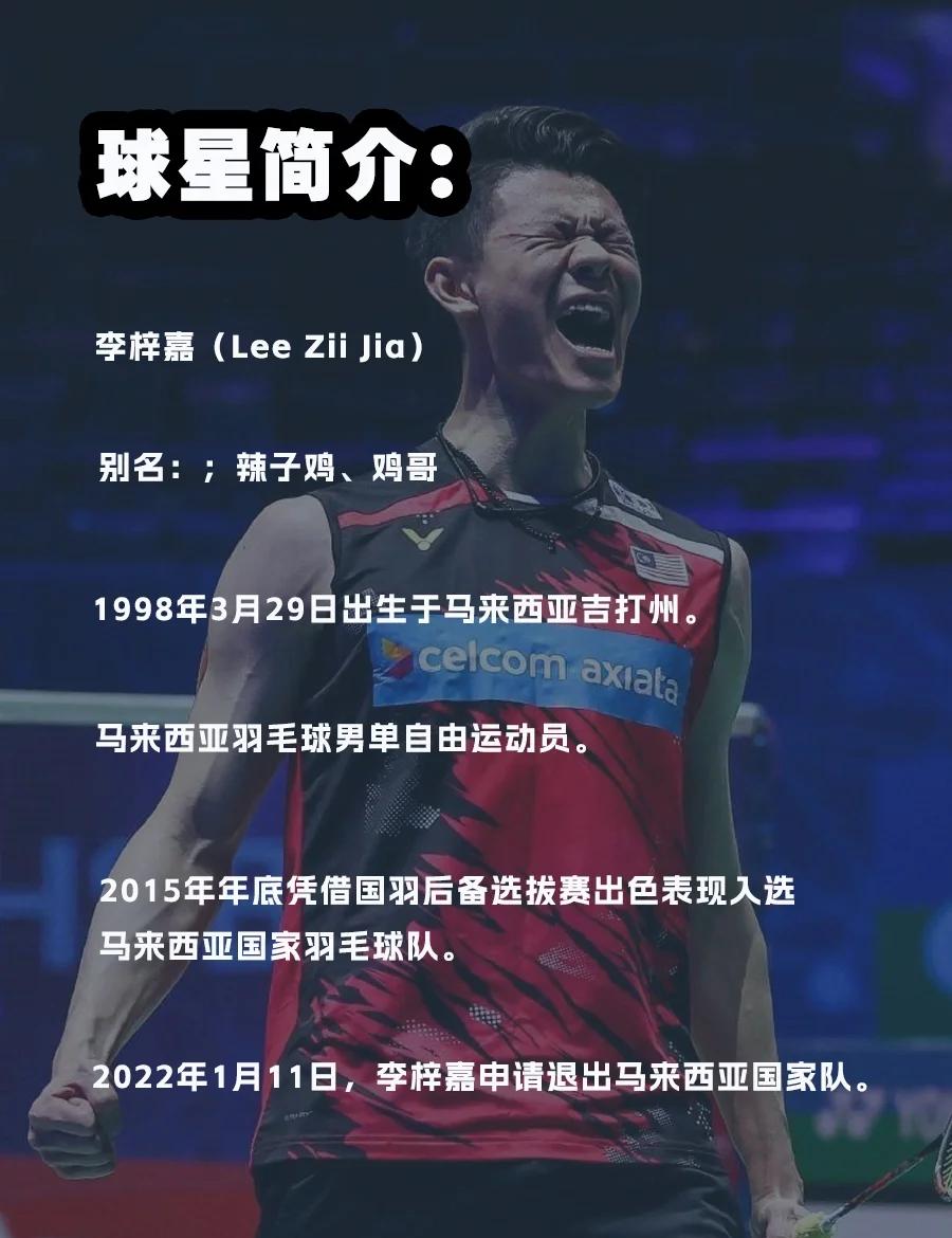 马来西亚队险胜德国队,李梓嘉统治全场 马来西亚队险胜德国队,李梓嘉统治全场