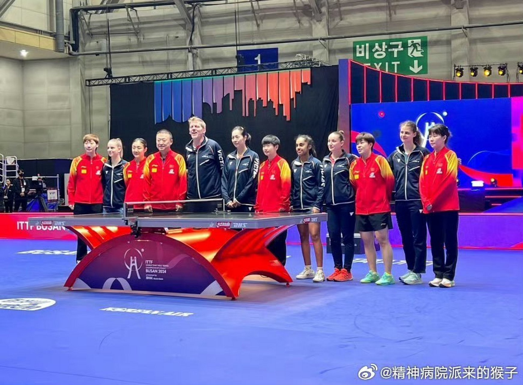 爱游戏官方-日本队鏖战法国队，马琳刷新纪录